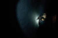 Devin Kelley as Amanda in "Chernobyl Diaries."