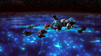 Suraj Sharma as Pi Patel in "Life of Pi."