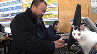 Ai Weiwei in "Ai Weiwei: Never Sorry."