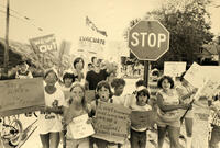A scene from "A Fierce Green Fire: The Battle For A Living Planet."