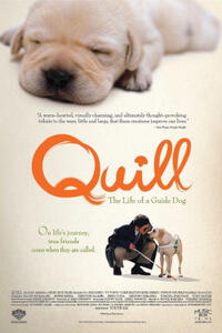 Poster art for "Quill: The Life of a Guide Dog."
