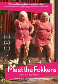 Poster art for "Meet the Fokkens."