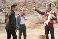 Colin Farrell, Christopher Walken and Sam Rockwell in "Seven Psychopaths."