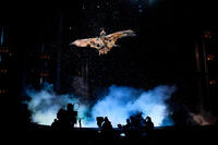 A scene from "Cirque du Soleil: Worlds Away 3D."