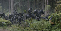 A scene from "Dawn of the Planet of the Apes."