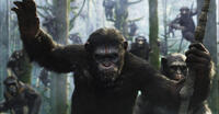 A scene from "Dawn of the Planet of the Apes."