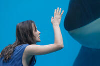 Marion Cotillard as Stephanie in "Rust and Bone."