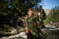 Evangeline Lilly as Tauriel in "The Hobbit: The Desolation of Smaug."