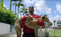 Anthony Mackie in "Pain and Gain."