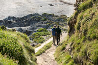 Domhnall Gleeson and Bill Nighy in "About Time."