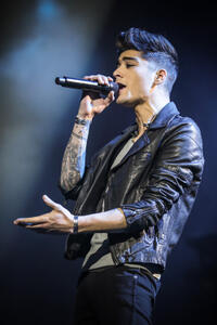 Zayn Malik in "One Direction: This Is Us."
