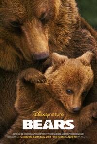 Poster art for "Bears."