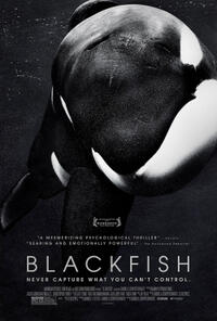 Poster art for "Blackfish."