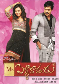 Poster art for "Mr. Pellikoduku."