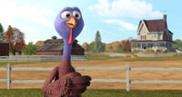Reggie voiced by Owen Wilson in "Free Birds."