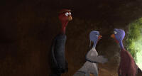 Cold Turkey voiced by Dwight Howard, Jenny voiced by Amy Poehler and Reggie voiced by Owen Wilson in "Free Birds."
