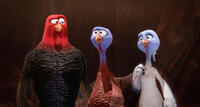 Jake voiced by Woody Harrelson, Reggie voiced by Owen Wilson and Jenny voiced by Amy Poehler in "Free Birds."