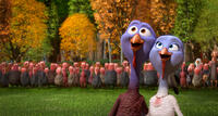 Reggie voiced by Owen Wilson and Jenny voiced by Amy Poehler in "Free Birds."
