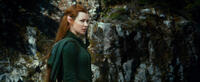 Evangeline Lilly as Tauriel in "The Hobbit: The Desolation of Smaug."