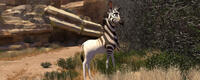 Khumba voiced by Jake T. Austin in "Khumba."