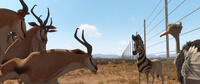 A scene from "Khumba."