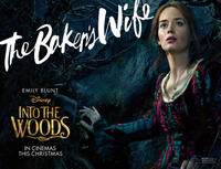 Character poster for "Into the Woods."