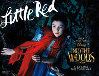Character poster for "Into the Woods."