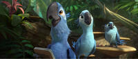 Blu voiced by Jesse Eisenberg, Jewel voiced by Anne Hathaway and Carla voiced by Rachel Crow in "Rio 2."