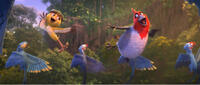 Nico voiced by Jamie Foxx and Pedro voiced by will.i.am in "Rio 2."