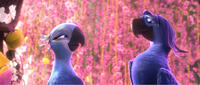Jewel voiced by Anne Hathaway and Roberto voiced by Bruno Mars in "Rio 2."