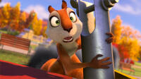 Andie voiced by Katherine Heigl in "The Nut Job."