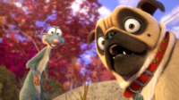 Buddy and Precious the Pug in "The Nut Job."