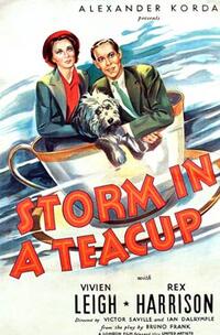 Poster art for "Storm in a Teacup."