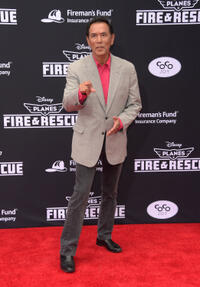 Wes Studi at the California premiere of "Planes: Fire & Rescue."
