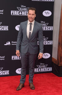 Dane Cook at the California premiere of "Planes: Fire & Rescue."