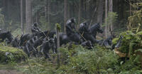 A scene from "Dawn of the Planet of the Apes."