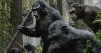 A scene from "Dawn of the Planet of the Apes."