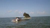 Movie still for "Poseidon Rex"