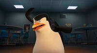 Skipper voiced by Tom McGrath in "Penguins of Madagascar."
