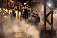 A scene from "Fantastic Beasts and Where to Find Them."