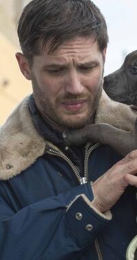 tom hardy in the drop