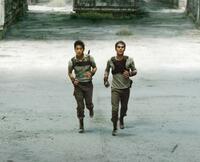 a scene from the Maze Runner