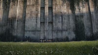 A scene from "The Maze Runner."