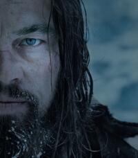Check out all the movie photos of 'The Revenant'