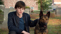 Josh Wiggins as Justin Wincott in "Max."