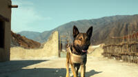 A scene from "Max."