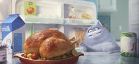 The Secret Life of Pets still