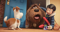 A scene from "The Secret Life of Pets."