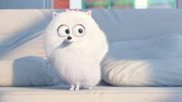 A scene from "The Secret Life of Pets."
