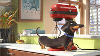 A scene from "The Secret Life of Pets."